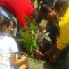 Día del Arbol Sede Nicoya